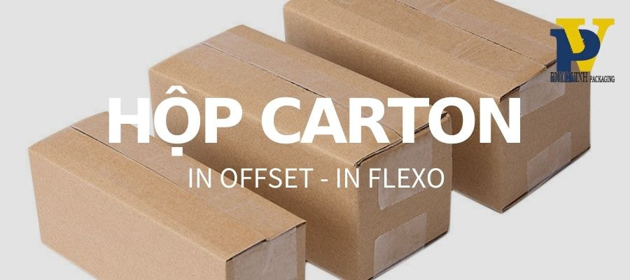 Những Lưu Ý Quan Trọng Khi Lựa Chọn Thùng Carton Đóng Hàng Xuất Khẩu Giúp Bảo Vệ Sản Phẩm Trên Đường Dài
