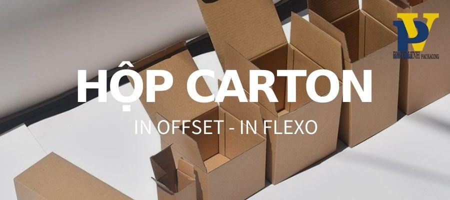 Giấy Carton Sóng Đôi Và Sóng Ba – Lựa Chọn Tối Ưu Cho Sản Phẩm Nặng