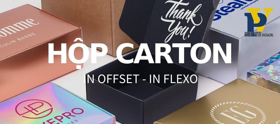 Tái Chế Giấy Carton Giúp Tiết Kiệm Tài Nguyên Và Bảo Vệ Môi Trường. Tìm Hiểu Ngay Về Quy Trình Tái Chế Và Lợi Ích Mà Việc Tái Sử Dụng Giấy Carton Mang Lại