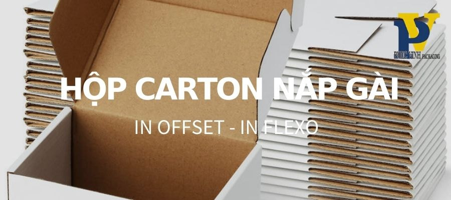 Hộp Carton Gói Hàng Phúc Vinh – Giải Pháp Đóng Gói Hiệu Quả, Tiện Lợi