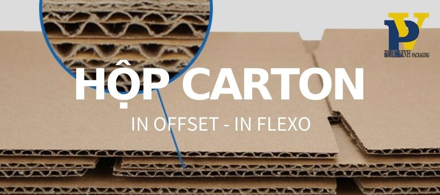 Phúc Vinh Mang Đến Hộp Carton Đựng Thực Phẩm – Đóng Gói An Toàn, Đáng Tin