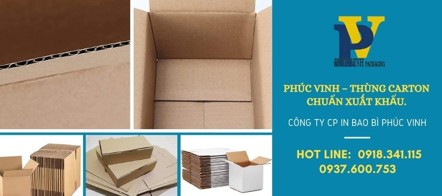 Những Lưu Ý Quan Trọng Khi Lựa Chọn Thùng Carton Đóng Hàng Xuất Khẩu Giúp Bảo Vệ Sản Phẩm Trên Đường Dài