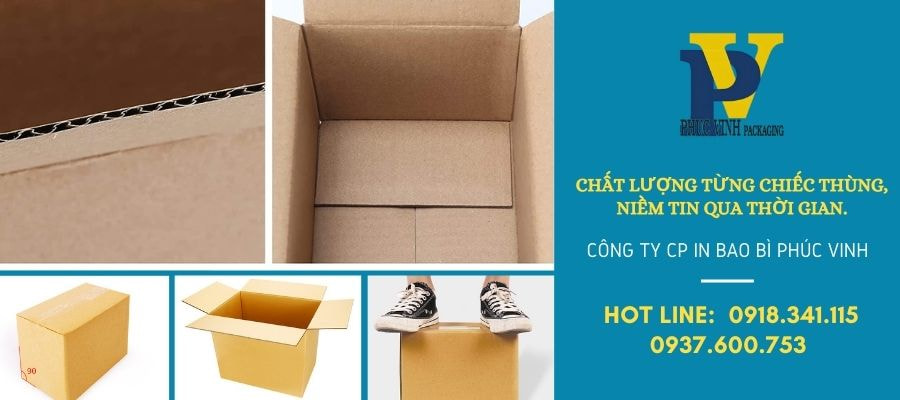 Chọn Thùng Carton Thân Thiện Với Môi Trường Là Xu Hướng Phát Triển Bền Vững