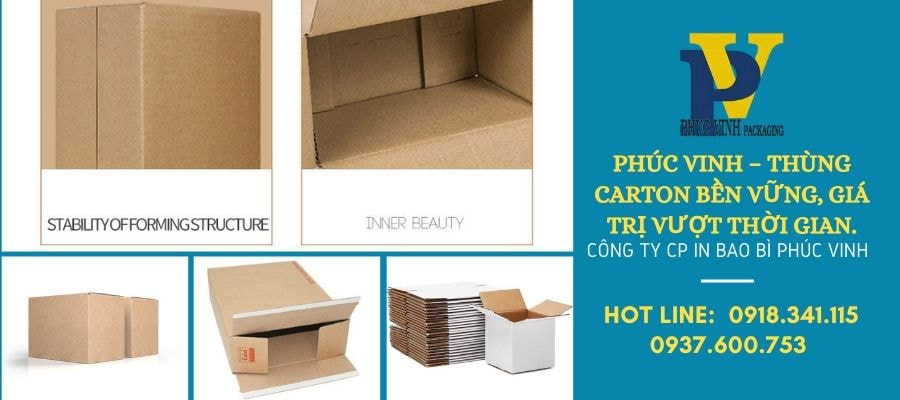 Phúc Vinh Cung Cấp Hộp Carton In Offset – Nâng Tầm Thương Hiệu Với Thiết Kế Đẹp