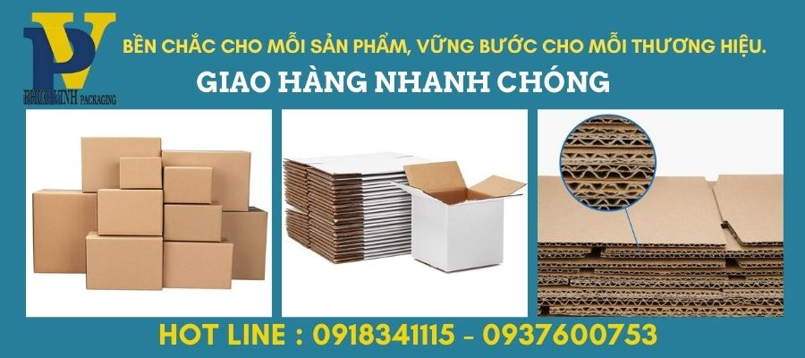 Hộp Carton In Offset Phúc Vinh – Chất Lượng In Ấn Sắc Nét, Độc Đáo