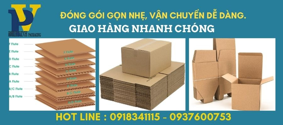 Hộp Carton In Offset Phúc Vinh – Thiết Kế Ấn Tượng, Thu Hút Mọi Ánh Nhìn