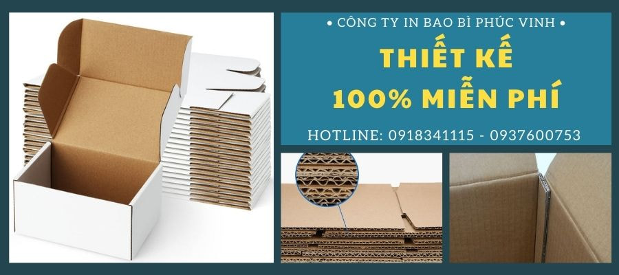 Giải Pháp Đóng Gói Với Thùng Carton Cho Ngành Dược Phẩm