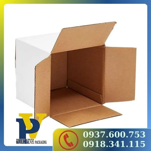 Phúc Vinh – Chuyên thùng Carton đóng hàng an toàn và bền vững