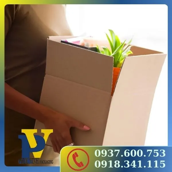 Phúc Vinh cung cấp thùng Carton đóng hàng chất lượng vượt trội, giá cạnh tranh