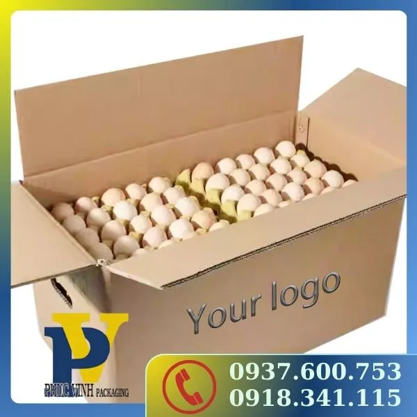 Đóng Hàng Tiết Kiệm Với Thùng Carton Size Lớn Chất Lượng Cao Từ Công Ty In Ấn Bao Bì Phúc Vinh