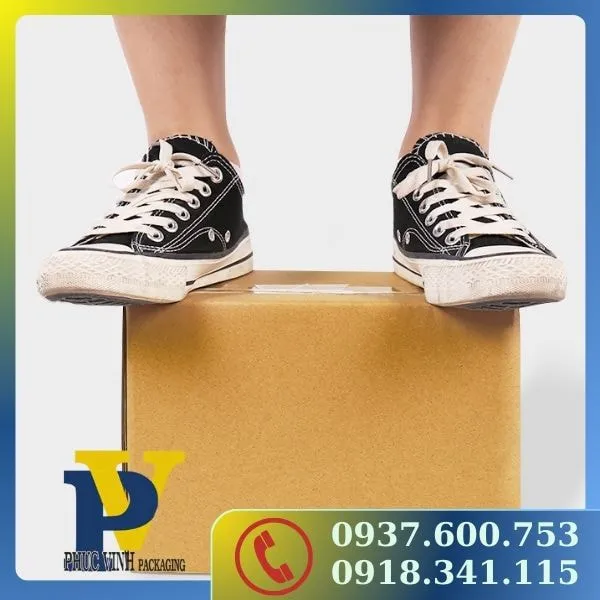 Thùng carton đóng hàng - an toàn tuyệt đối cho sản phẩm