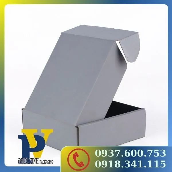 Phúc Vinh Mang Đến Hộp Carton Gói Hàng – Đóng Gói Nhanh, Giao Hàng An Toàn
