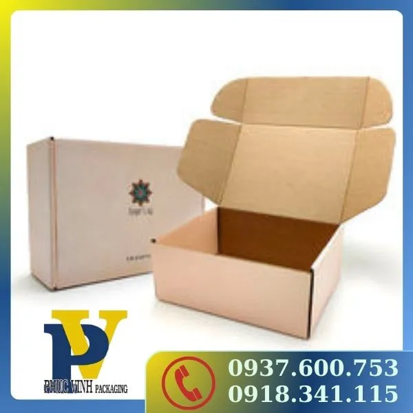 Hộp Carton Đựng Thực Phẩm Phúc Vinh – Bảo Vệ Thực Phẩm Hiệu Quả, Tiện Lợi