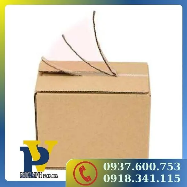 Thùng carton đóng hàng - an toàn tuyệt đối cho sản phẩm