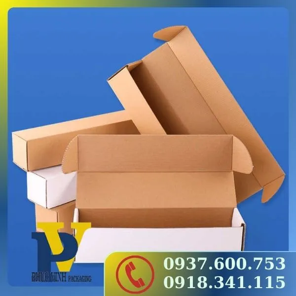 Nâng Tầm Sản Phẩm Với Hộp Carton Trắng Phúc Vinh – Sạch Sẽ, Sang Trọng