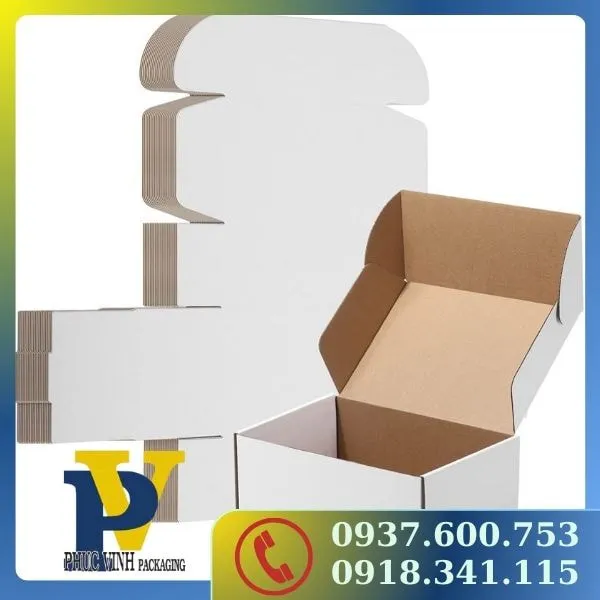 Hộp Carton Đựng Quà Phúc Vinh – Giải Pháp Sang Trọng Cho Mọi Dịp Đặc Biệt