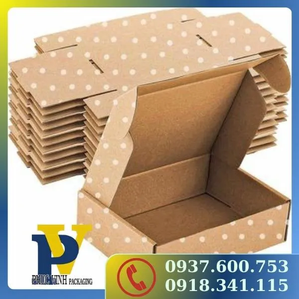 Hộp Carton In Offset Phúc Vinh – Thiết Kế Ấn Tượng, Thu Hút Mọi Ánh Nhìn