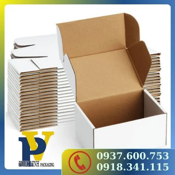 Phúc Vinh Mang Đến Hộp Carton Đựng Thực Phẩm – Đóng Gói An Toàn, Đáng Tin 