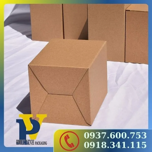 Giải pháp đóng gói hoàn hảo với thùng Carton Phúc Vinh