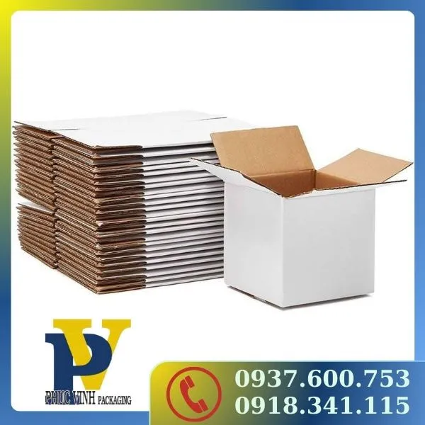Giải pháp đóng gói hoàn hảo với thùng Carton Phúc Vinh