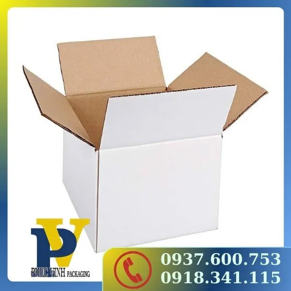 Giải pháp đóng gói hoàn hảo với thùng Carton Phúc Vinh
