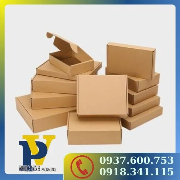  Hộp Carton Gói Hàng Phúc Vinh – Giải Pháp Đóng Gói Hiệu Quả, Tiện Lợi