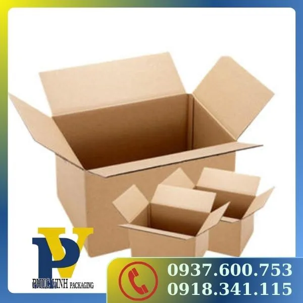  Hộp Carton Gói Hàng Phúc Vinh – Giải Pháp Đóng Gói Hiệu Quả, Tiện Lợi