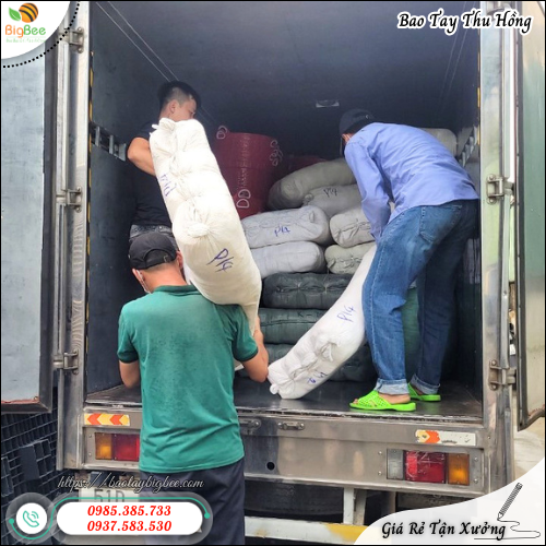 Bao Tay Lao Động Poly 40g Giá Rẻ – Thu Hồng Giao Nhanh, Hàng Luôn Có Sẵn. Bao Tay Lao Động Poly 40g Giá Rẻ – Thu Hồng Giao Nhanh, Hàng Luôn Có Sẵn.
