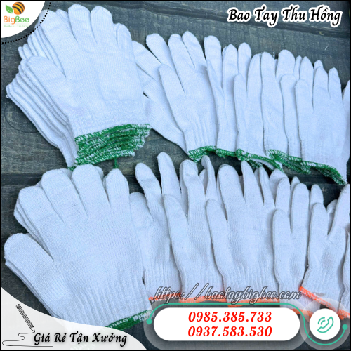 Nguồn Bao Tay Len Trắng Giá Sỉ Tại HCM - Giao Hàng Toàn Quốc. Nguồn Bao Tay Len Trắng Giá Sỉ Tại HCM - Giao Hàng Toàn Quốc.