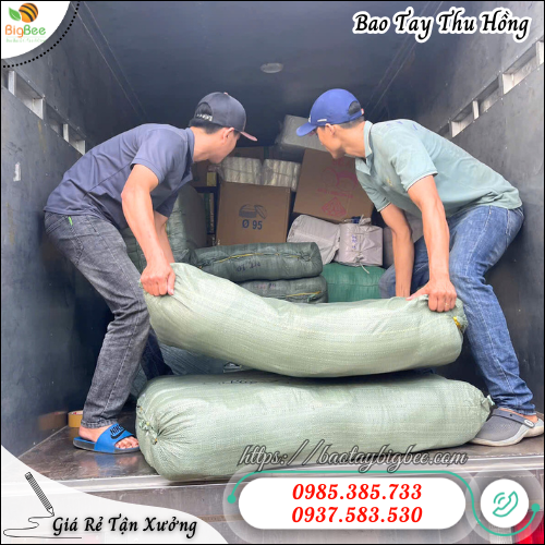 Bao Tay Len Bảo Hộ Cotton – Vừa Êm Tay, Vừa Chống Trầy Xước Hiệu Quả. Bao Tay Len Bảo Hộ Cotton – Vừa Êm Tay, Vừa Chống Trầy Xước Hiệu Quả.