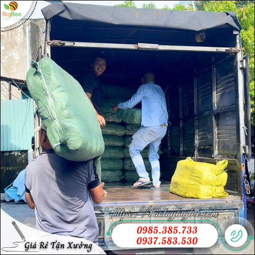 Bao tay len bảo hộ giá xưởng TPHCM – Giao sỉ toàn quốc, chiết khấu cao Bao tay len bảo hộ giá xưởng TPHCM – Giao sỉ toàn quốc, chiết khấu cao