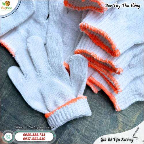 Găng Tay Len Cotton Trắng Tái Sử Dụng Nhiều Lần Găng Tay Len Cotton Trắng Tái Sử Dụng Nhiều Lần