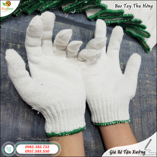 Bao Tay Vải Cotton Trắng Đa Năng Và Tiết Kiệm Bao Tay Vải Cotton Trắng Đa Năng Và Tiết Kiệm