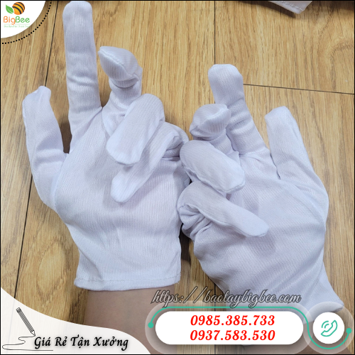 Đôi tay an toàn, công việc nhẹ nhàng hơn với găng tay thun L+2. Đôi tay an toàn, công việc nhẹ nhàng hơn với găng tay thun L+2.