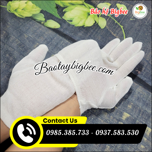 Chỗ lấy sỉ bao tay thun trắng pe giá bán buôn rẻ. Chỗ lấy sỉ bao tay thun trắng pe giá bán buôn rẻ.
