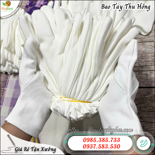 Thu Hồng – Chuyên bỏ sỉ bao tay thun cotton trắng giá rẻ cho đại lý. Thu Hồng – Chuyên bỏ sỉ bao tay thun cotton trắng giá rẻ cho đại lý.