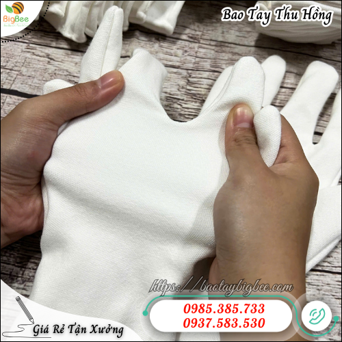 Bao tay thun cotton trắng mềm mịn – Co giãn tốt, thấm hút mồ hôi hiệu quả. Bao tay thun cotton trắng mềm mịn – Co giãn tốt, thấm hút mồ hôi hiệu quả.
