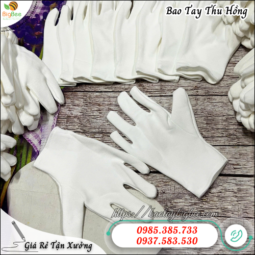 Bao tay vải thun cotton trắng – Chống trơn, chống bẩn, dễ giặt sạch. Bao tay vải thun cotton trắng – Chống trơn, chống bẩn, dễ giặt sạch.