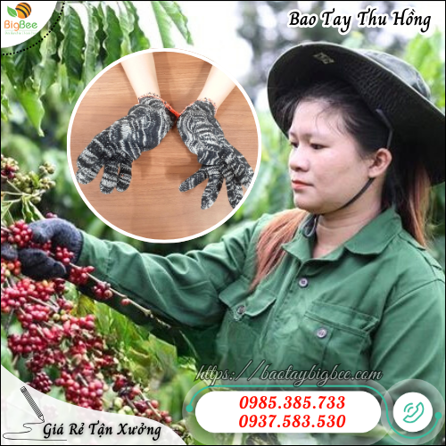 Bảo Vệ Hiệu Quả Với Găng Tay Len Muối Tiêu 80g Chống Trầy Xước. Bảo Vệ Hiệu Quả Với Găng Tay Len Muối Tiêu 80g Chống Trầy Xước.