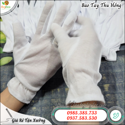 Găng Tay Thun Ráp Kẻ Lao Động – Bền, Êm, Thoáng Mát, Dễ Sử Dụng. Găng Tay Thun Ráp Kẻ Lao Động – Bền, Êm, Thoáng Mát, Dễ Sử Dụng.