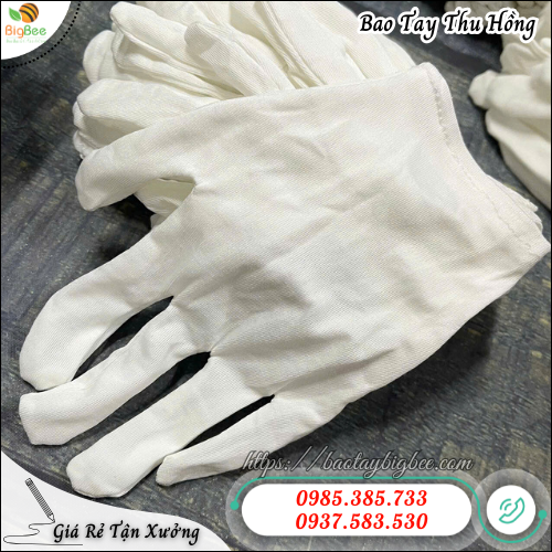 Găng Tay Thun Trắng Dễ Dùng – Co Giãn Tốt, Không Cứng Tay. Găng Tay Thun Trắng Dễ Dùng – Co Giãn Tốt, Không Cứng Tay.