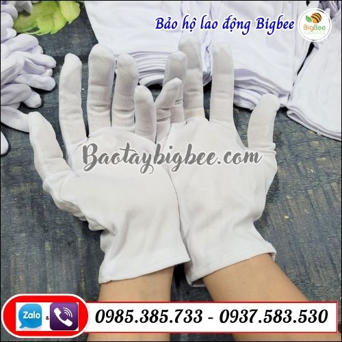 Găng tay T9 thun trắng. Găng tay T9 thun trắng.