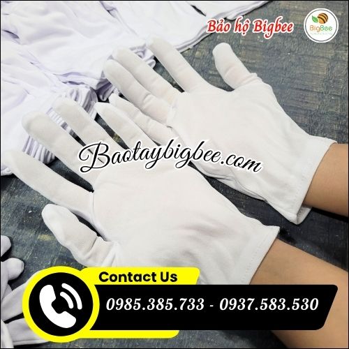 Bao tay thun trắng T9 chất lượng cao. Bao tay thun trắng T9 chất lượng cao.