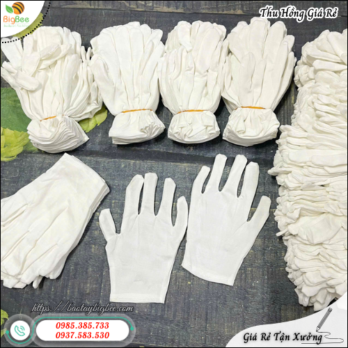 Nhập Sỉ Găng Tay Thun Trắng XL+4 Giá Tốt Không Qua Trung Gian. Nhập Sỉ Găng Tay Thun Trắng XL+4 Giá Tốt Không Qua Trung Gian.