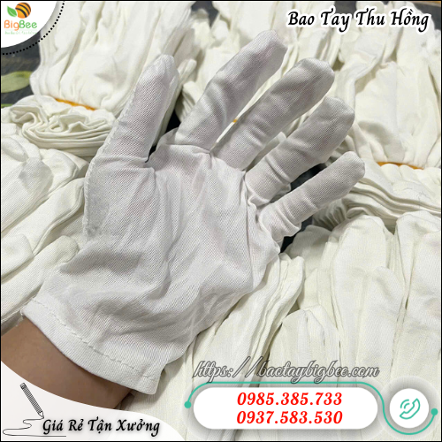 Găng Tay Vải Trắng Mỏng Thiết Kế 5 Ngón Tiện Lợi. Găng Tay Vải Trắng Mỏng Thiết Kế 5 Ngón Tiện Lợi.