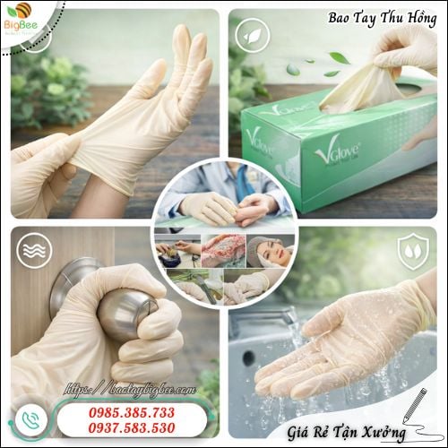 Găng Tay Y Tế Latex Không Bột Đa Năng Ứng Dụng Rộng Rãi. Găng Tay Y Tế Latex Không Bột Đa Năng Ứng Dụng Rộng Rãi.