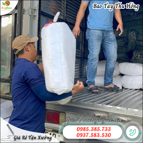 Găng tay nilon dùng một lần giá rẻ – Sẵn kho giao nhanh toàn quốc Găng tay nilon dùng một lần giá rẻ – Sẵn kho giao nhanh toàn quốc