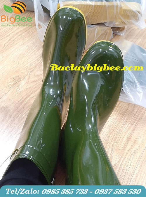 Thân Ủng Thùy Dương. Thân Ủng Thùy Dương.