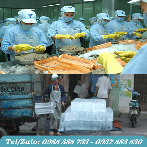 Tạp dề nhựa sử dựng phổ biến trong ngành thủy sản và chế biến thực phẩm Tạp dề nhựa sử dựng phổ biến trong ngành thủy sản và chế biến thực phẩm