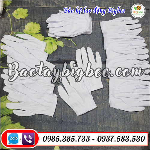Mua bao tay thun trắng mỏng giá tốt ở TpHCM tại xưởng Thu Hồng. Mua bao tay thun trắng mỏng giá tốt ở TpHCM tại xưởng Thu Hồng.